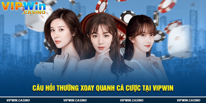 Câu hỏi thường xoay quanh cá cược tại Vipwin