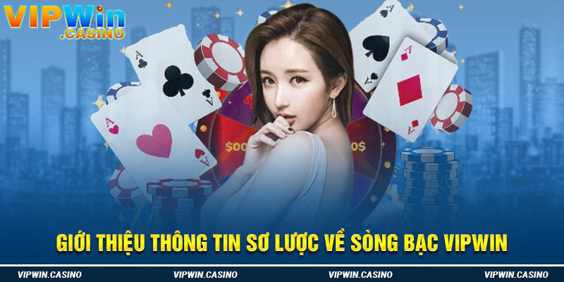 Giới thiệu thông tin sơ lược về sòng bạc Vipwin