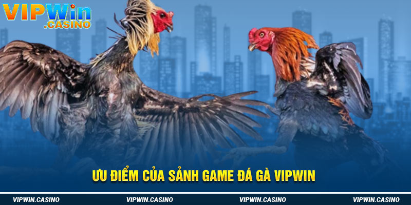 Ưu điểm của sảnh game đá gà Vipwin