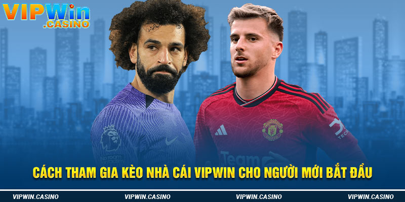 Cách tham gia kèo nhà cái Vipwin cho người mới bắt đầu