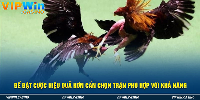 Để đặt cược hiệu quả hơn cần chọn trận phù hợp với khả năng